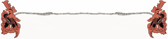 1897 - 777 double-horizontalsm