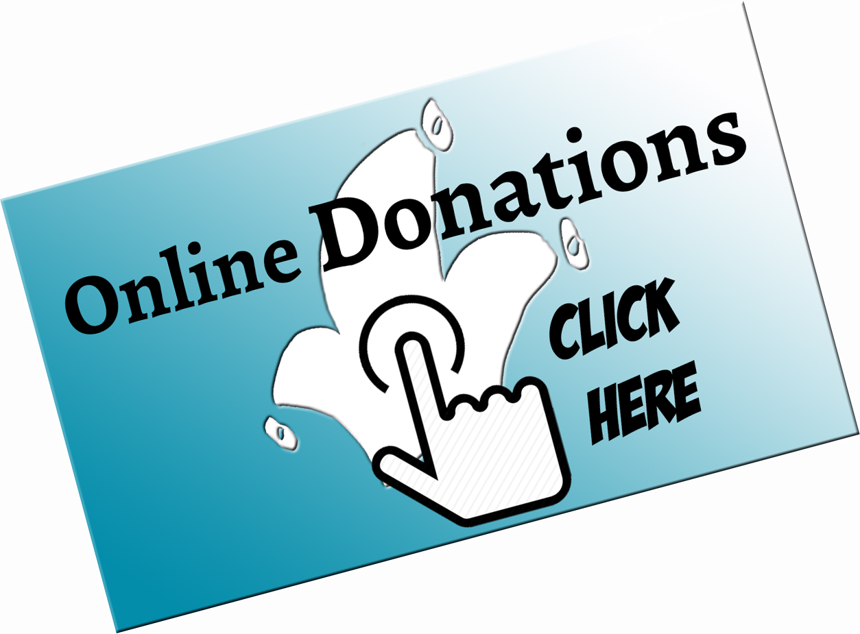 donations "village players" "village players donations"